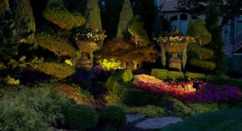 missouri city landscape lighting